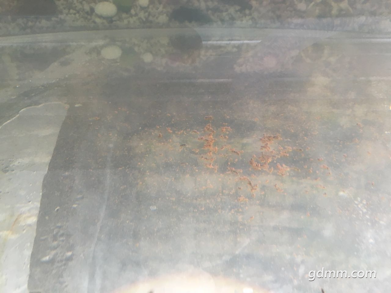 ΢��ͼƬ_20170724094020.jpg
