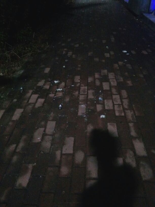1501761054074_.jpg