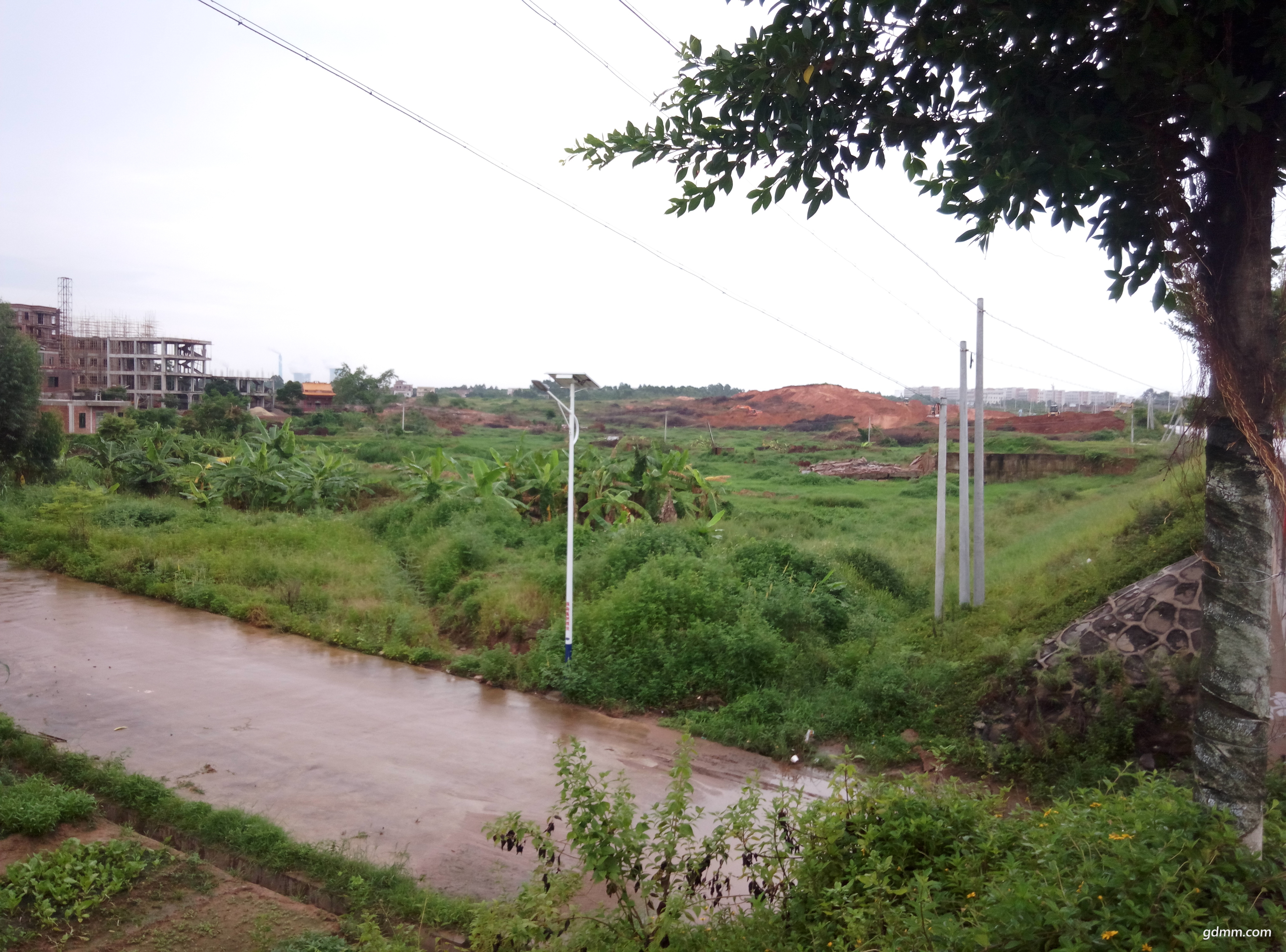 P70804-132741.jpg