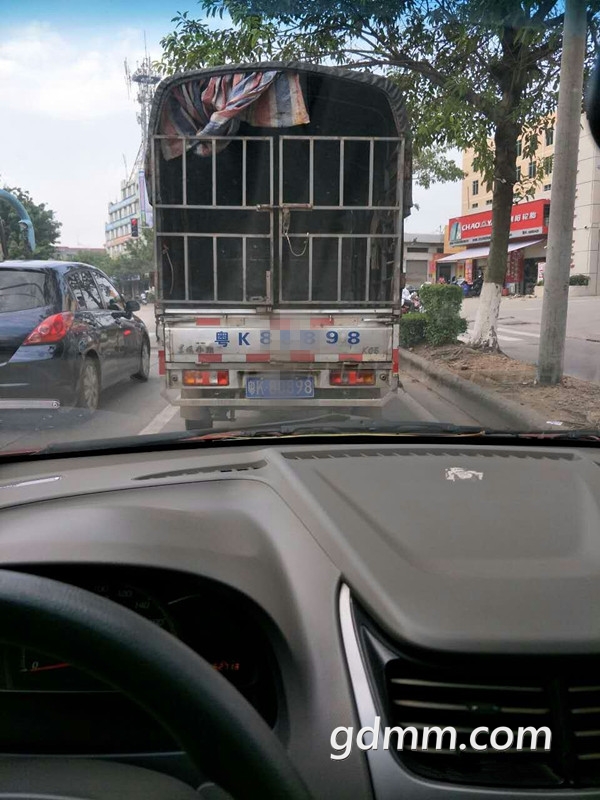 231413gbbcnve3elc455cc_����.jpg