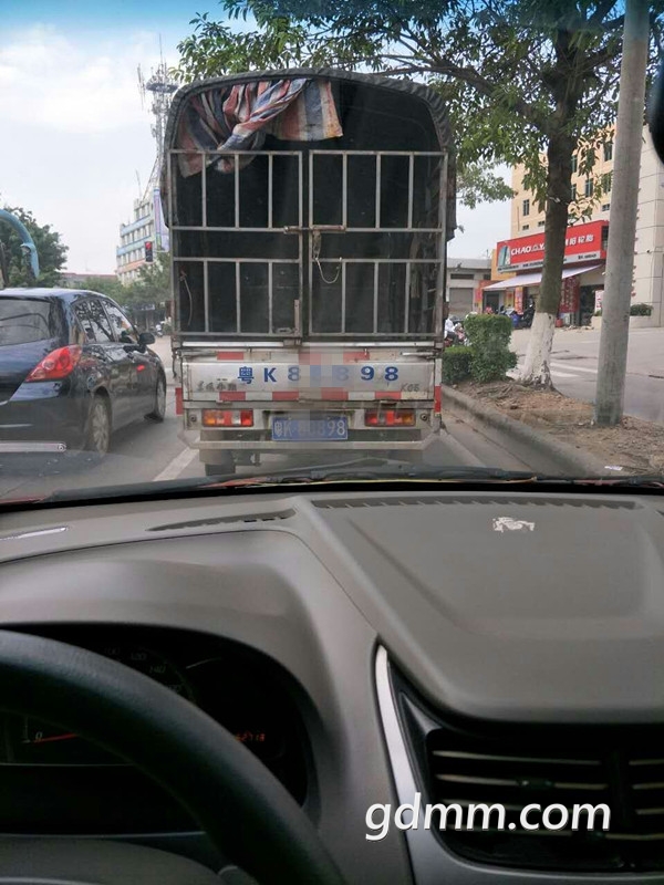 231603yjudj7pej7exad2p_����.jpg