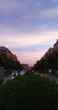 1503456931974_.jpg