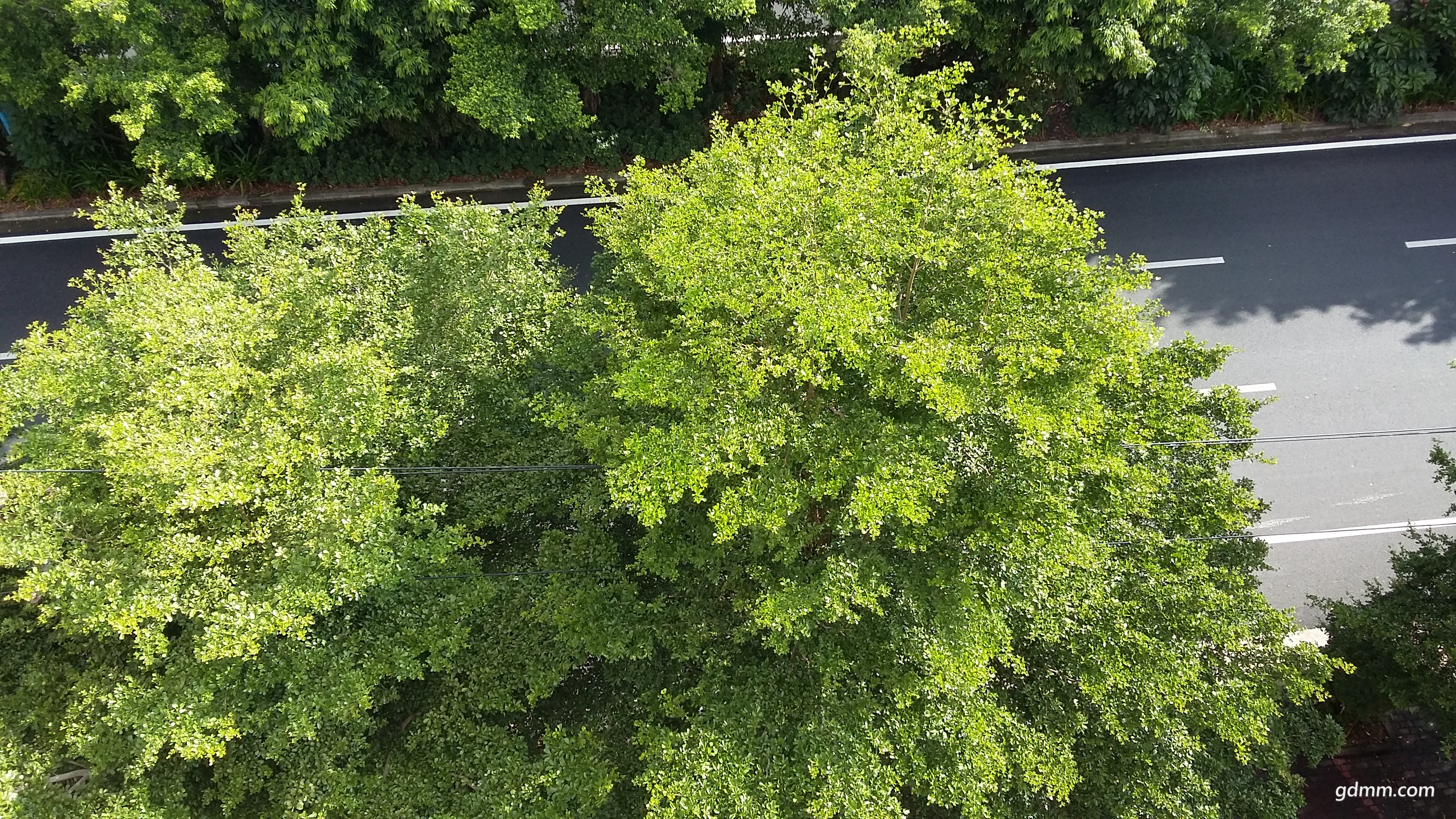 20170910_085803.jpg