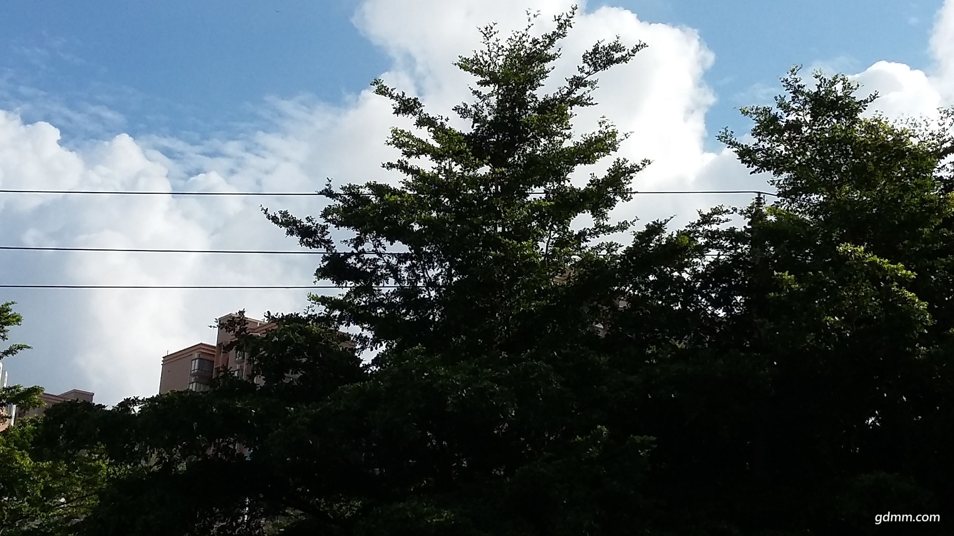 20170910_090307.jpg