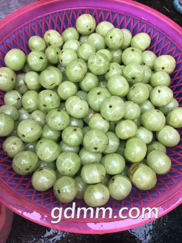 mmexport1505350821734.jpg