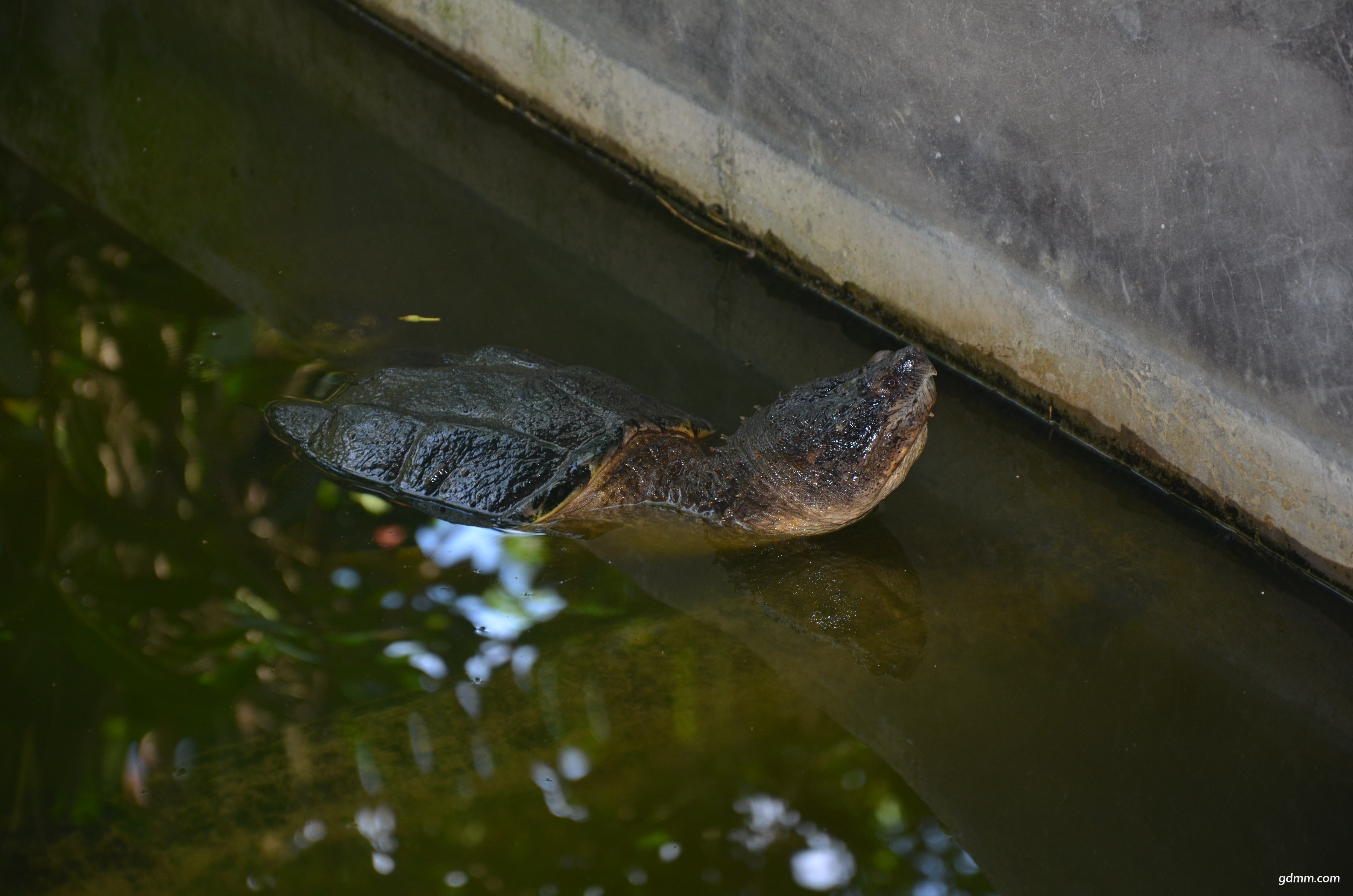 DSC_1459.JPG