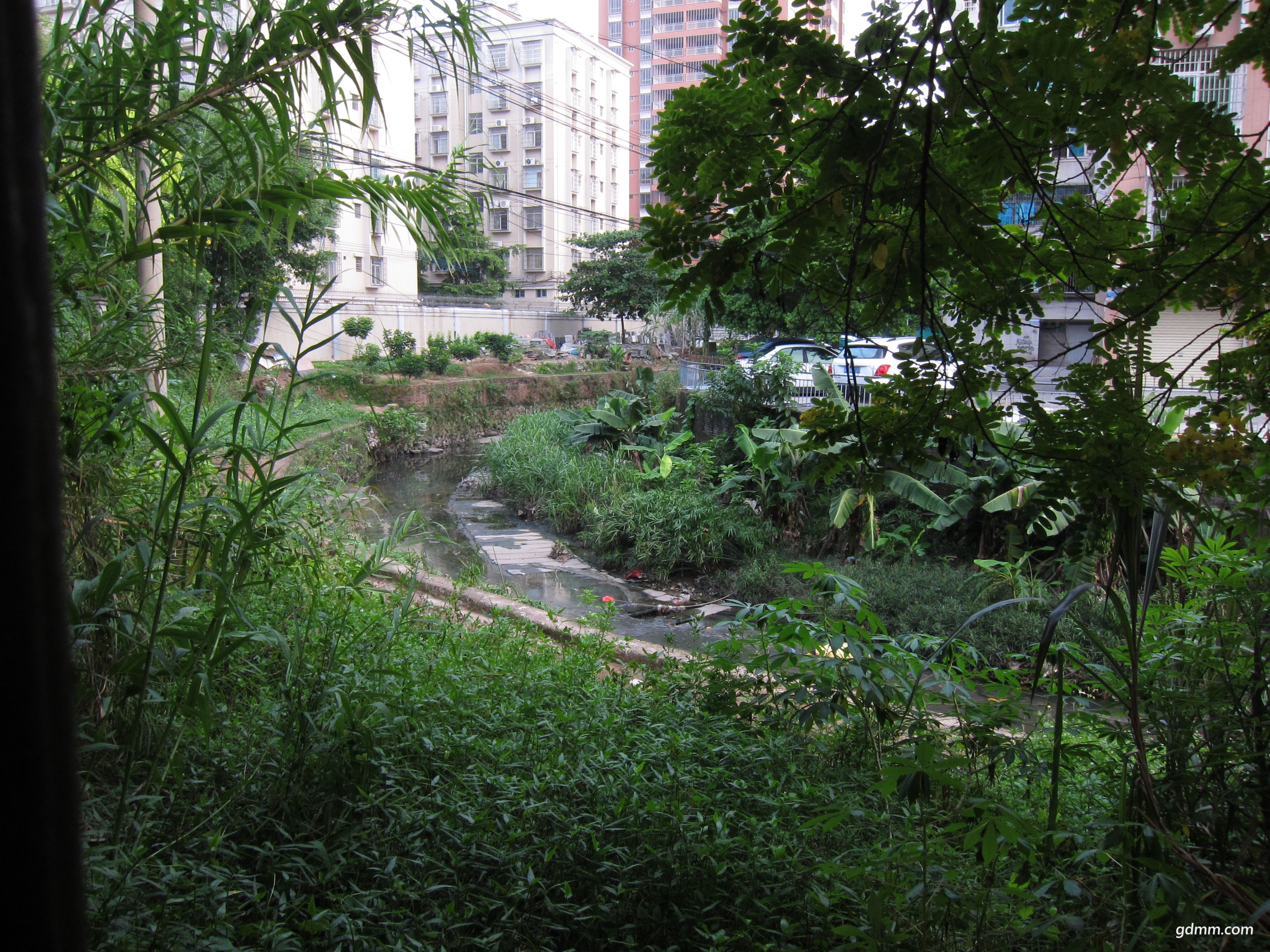 05.jpg