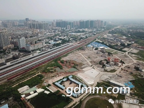 mmexport1506611107637.jpg