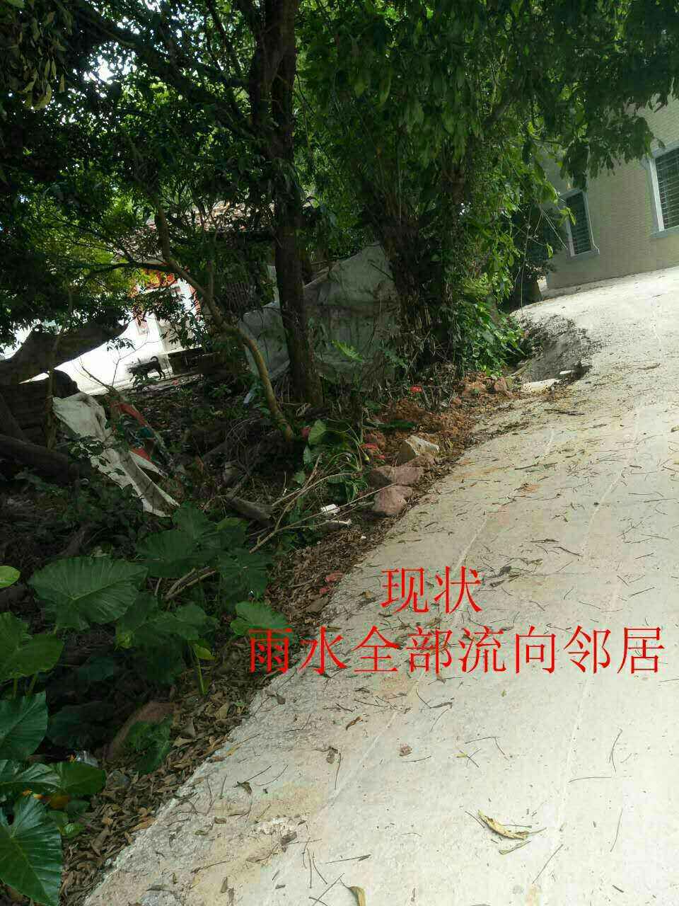 1507477900396_.jpg