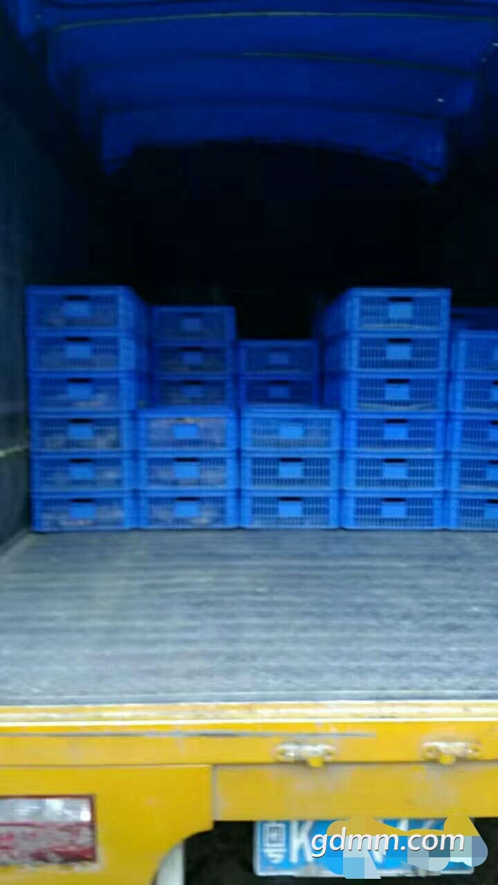 mmexport1508896644876_1.jpg