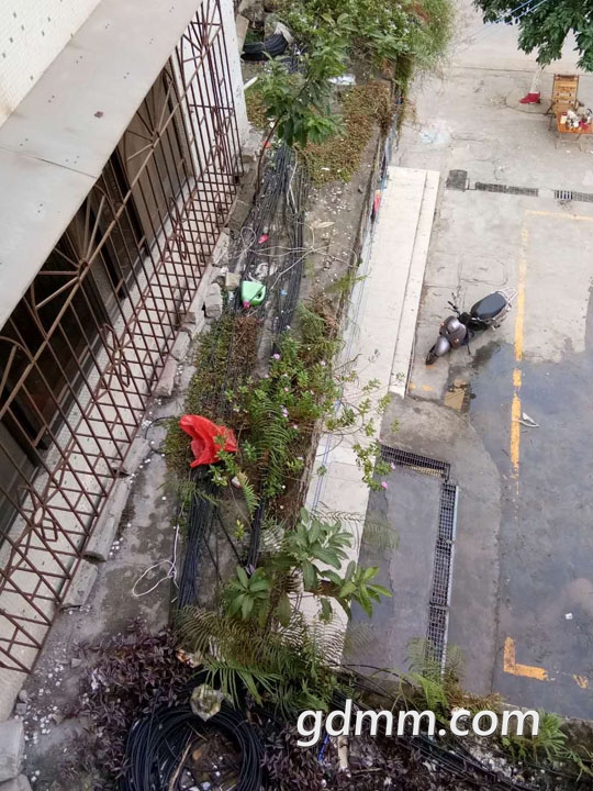 ΢��ͼƬ_20171026080203.jpg