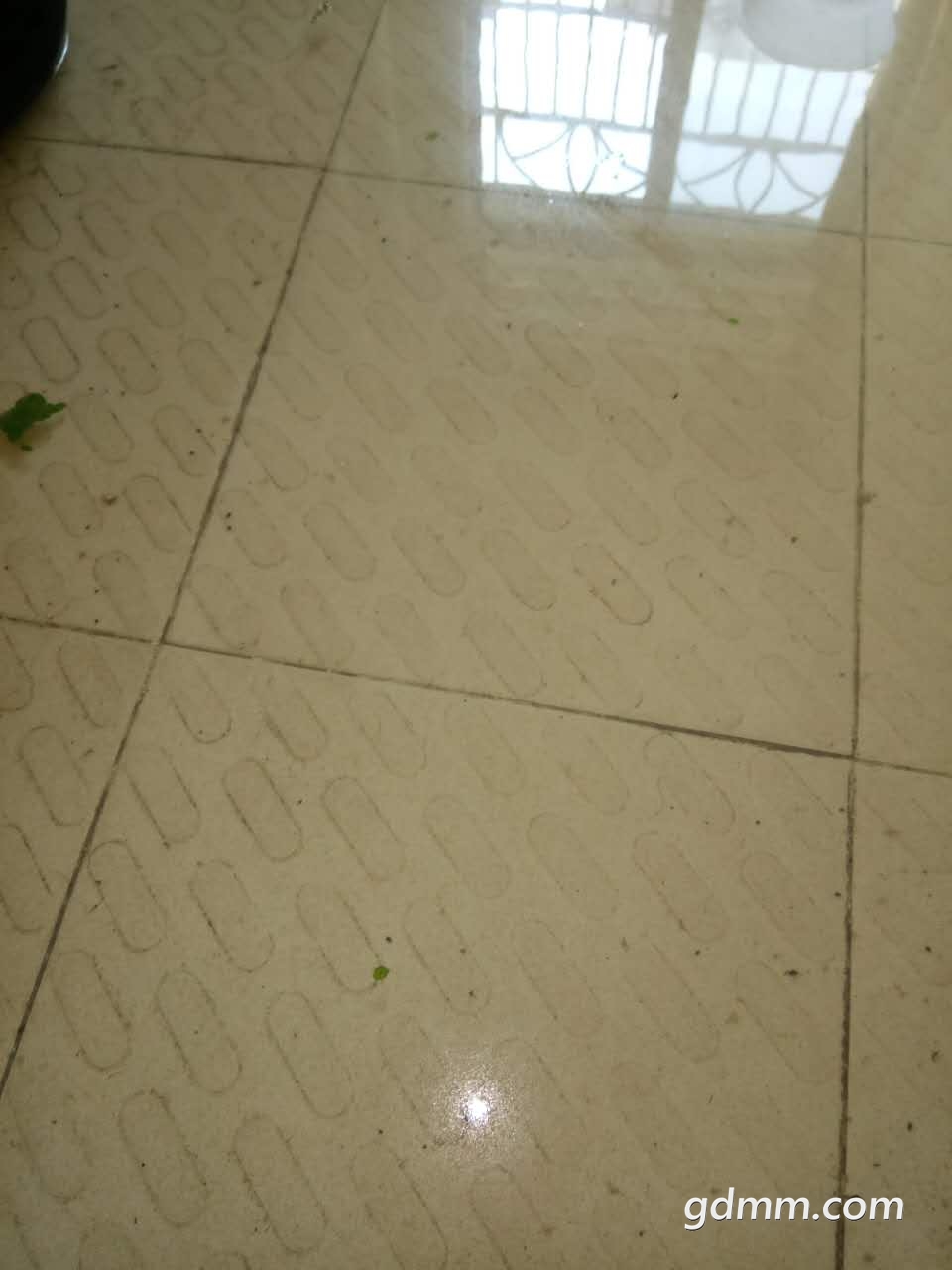 mmexport1509255505463.jpg