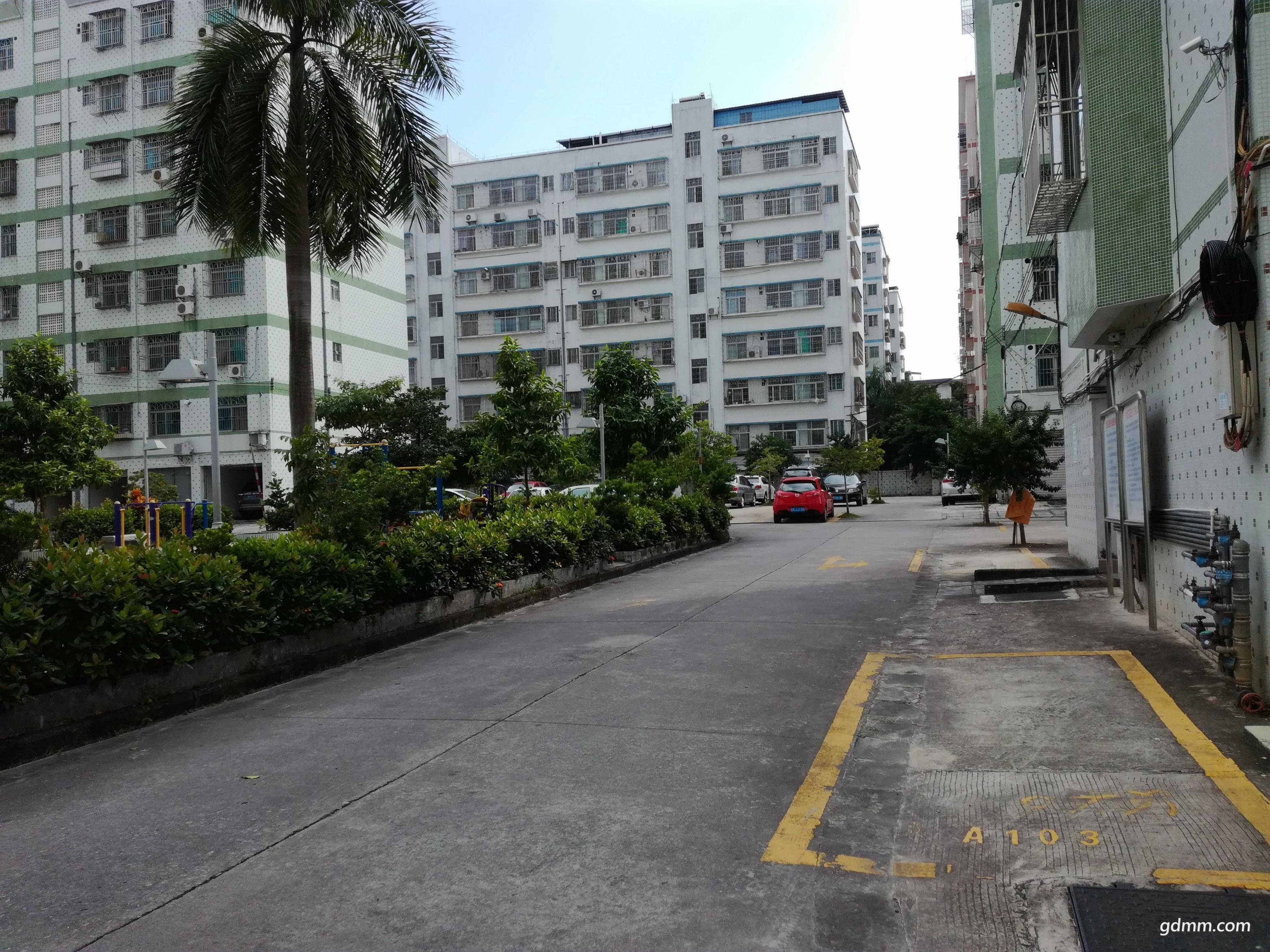 IMG_20171109_141143(75%).jpg