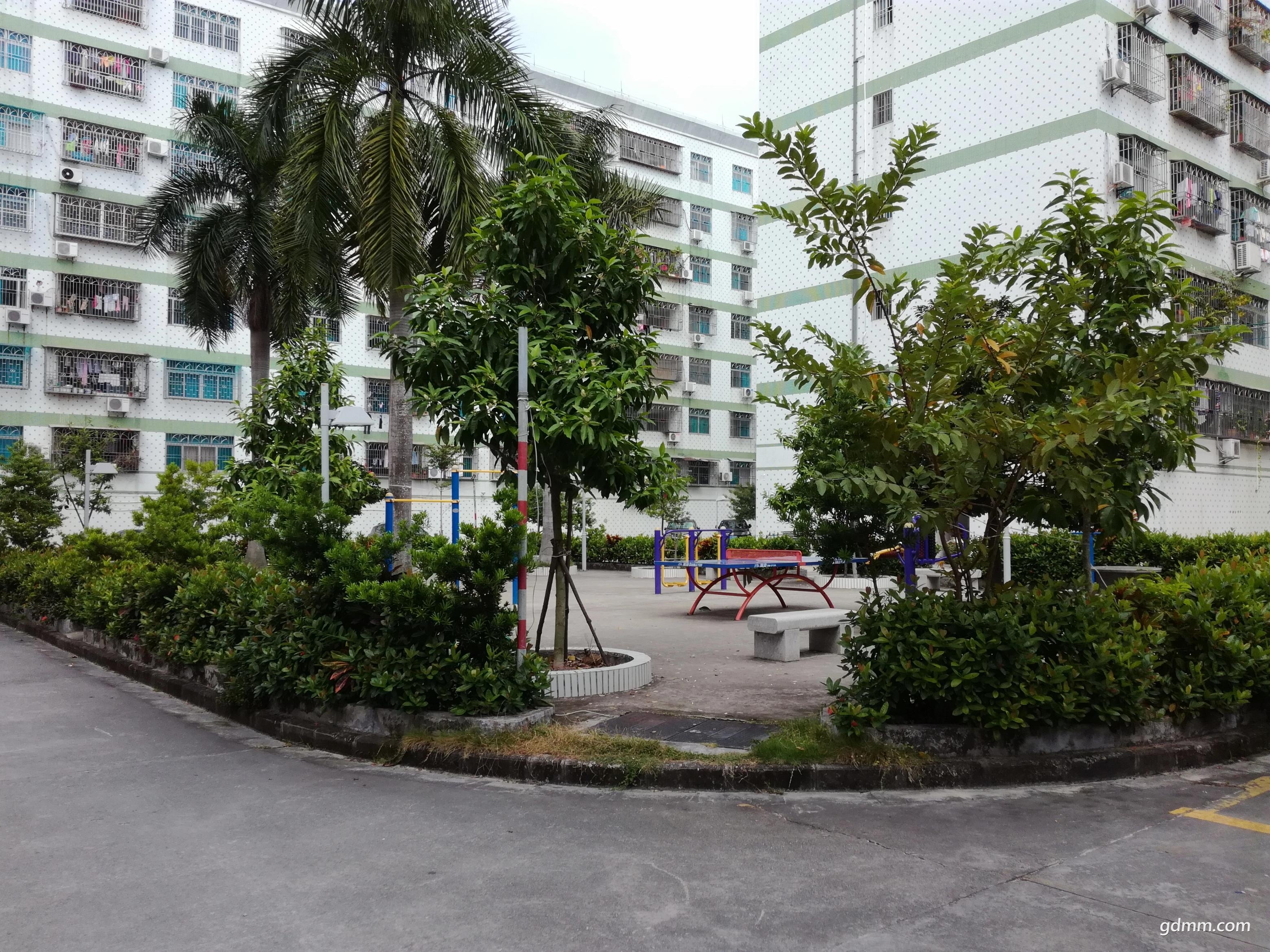 IMG_20171109_141351(75%).jpg