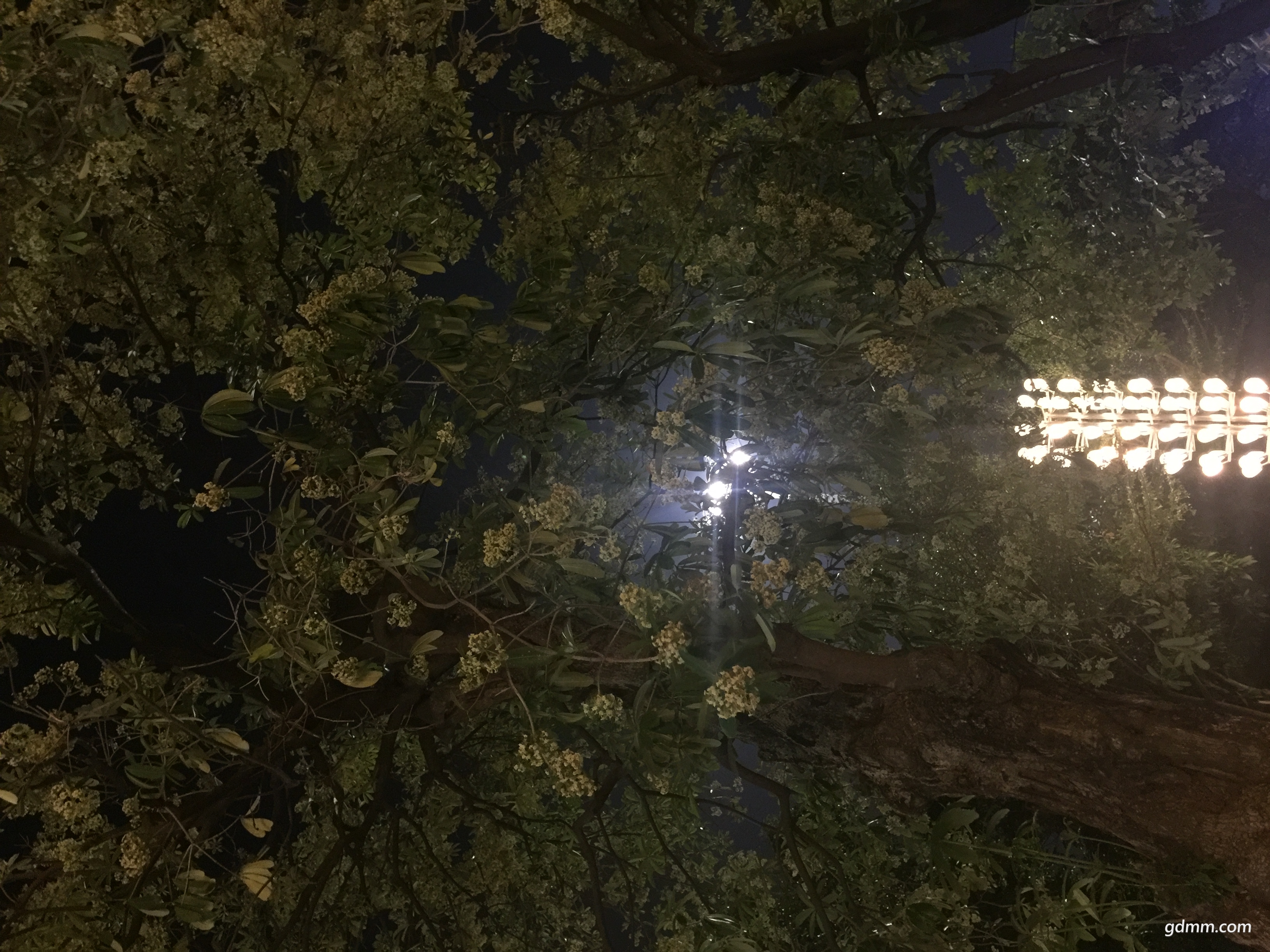 ΢��ͼƬ_20171113111651.jpg