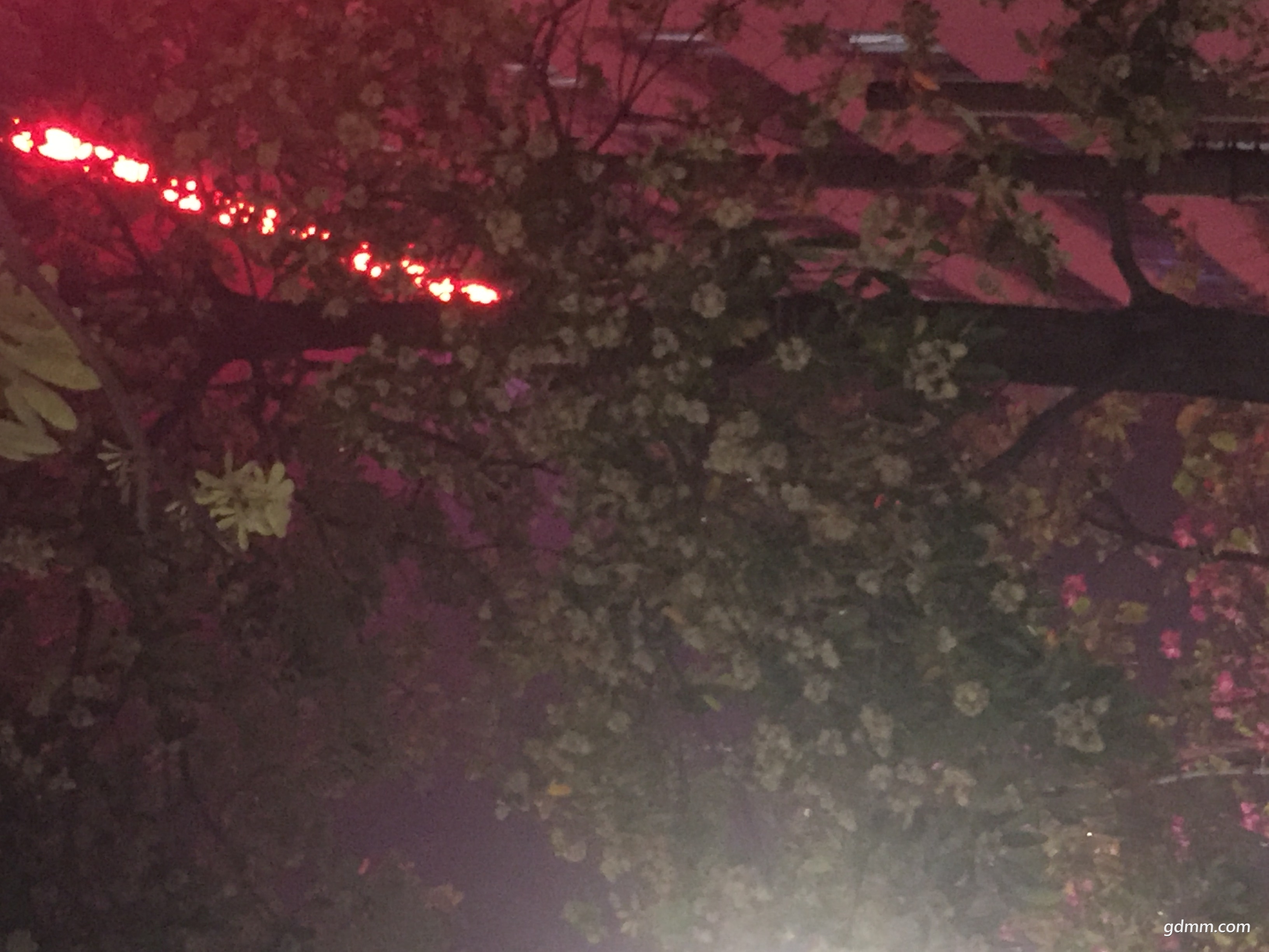 ΢��ͼƬ_20171113111714.jpg