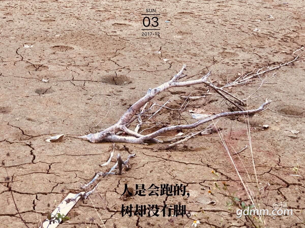 ΢��ͼƬ_201712161330034.jpg