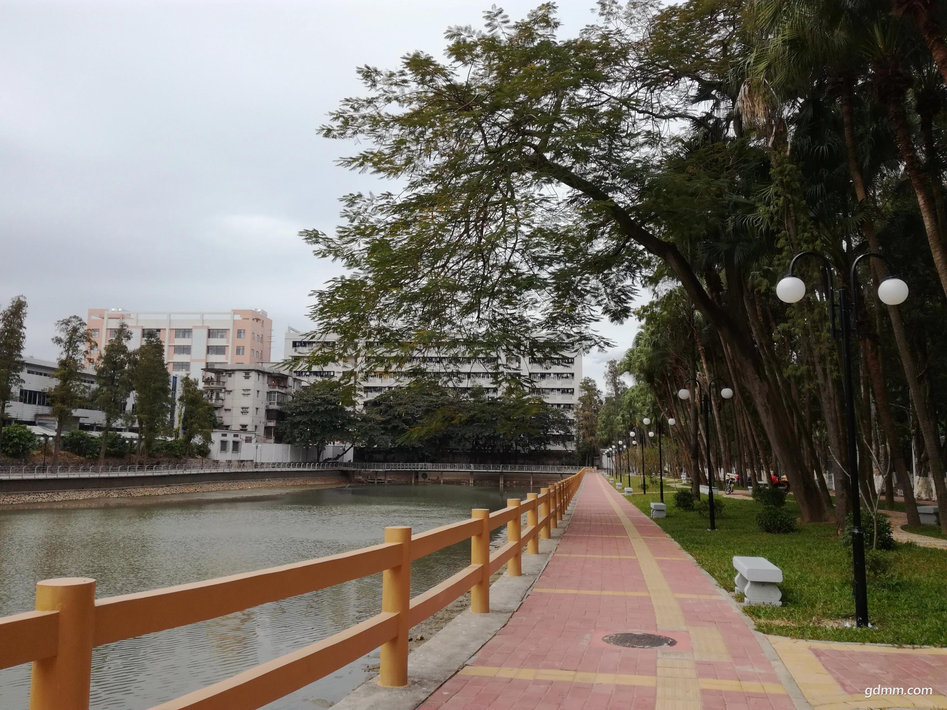 IMG_20171216_111939(75%).jpg