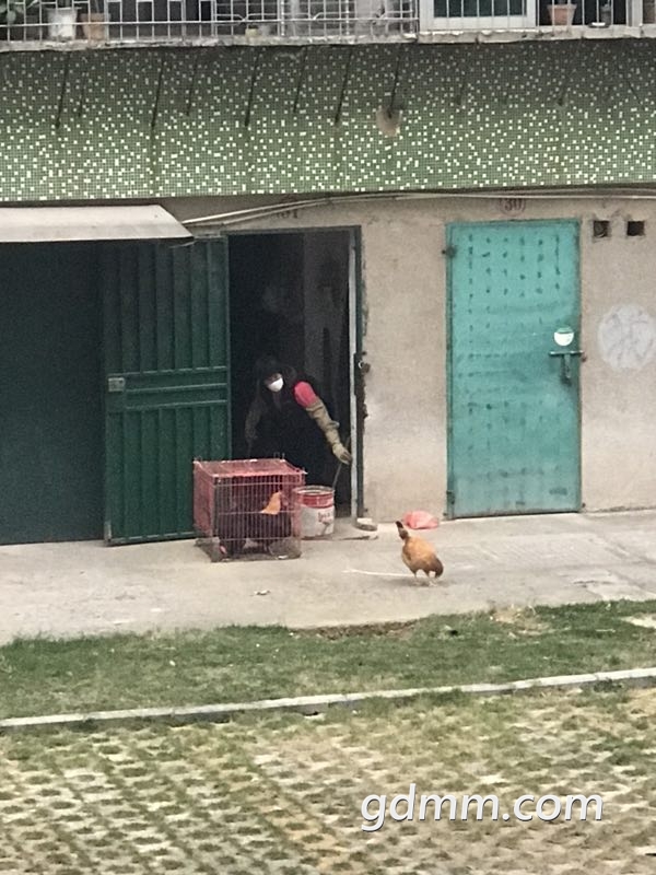 ï������_20171226_143810.jpg