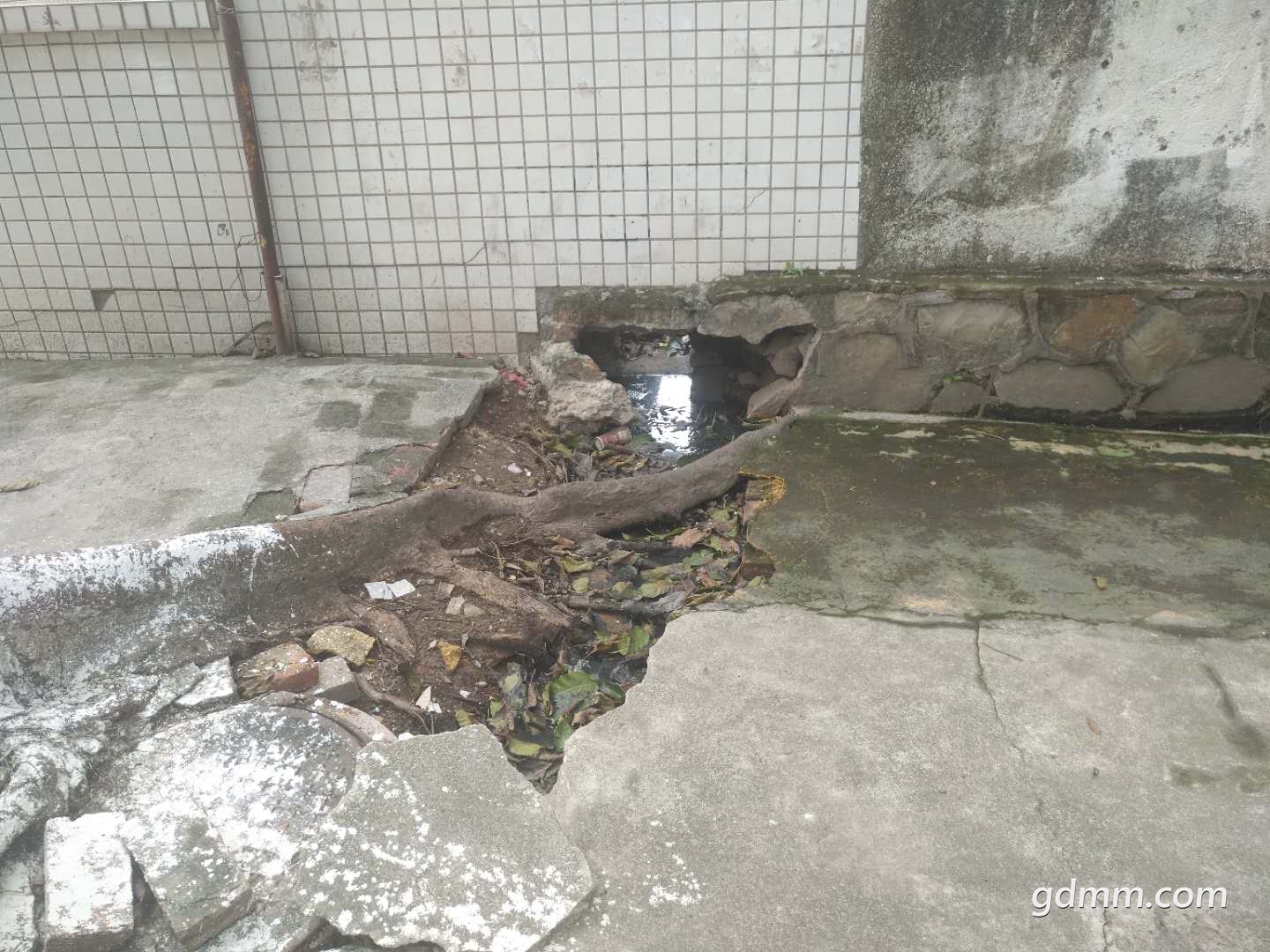΢��ͼƬ_201801111545281.jpg
