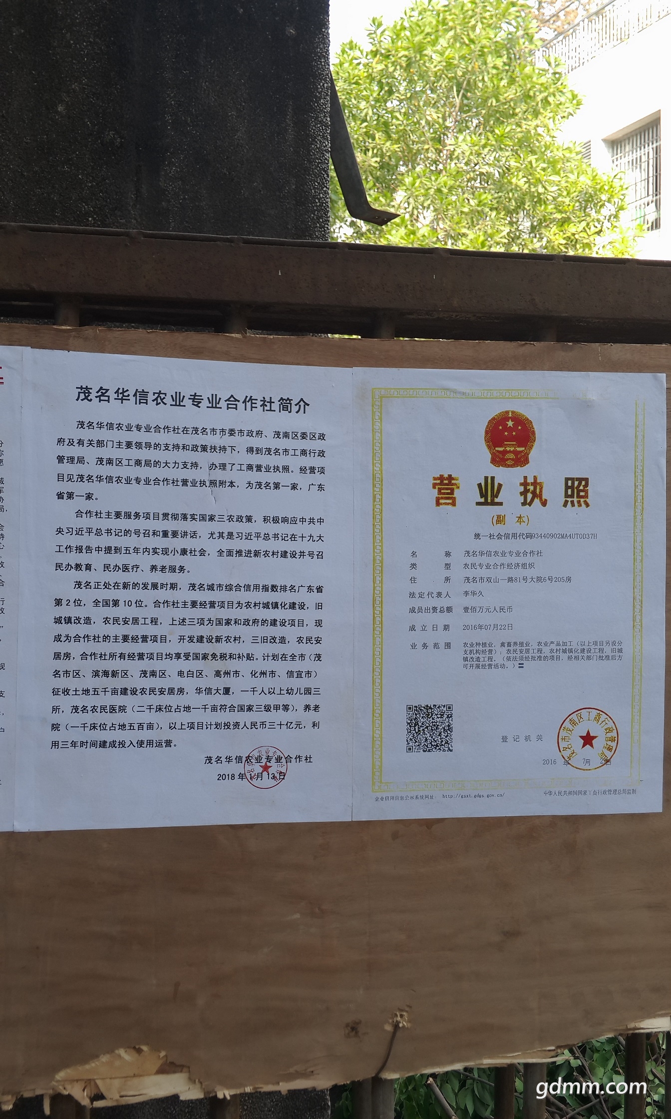 P80118-144113.jpg
