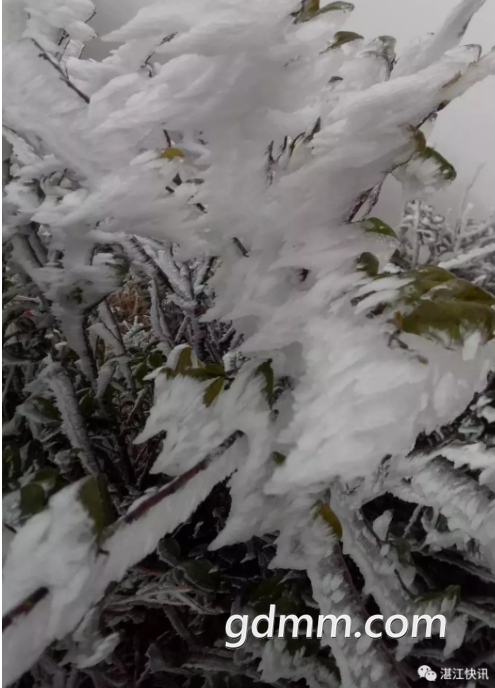΢�Ž�ͼ_20180130151546.png