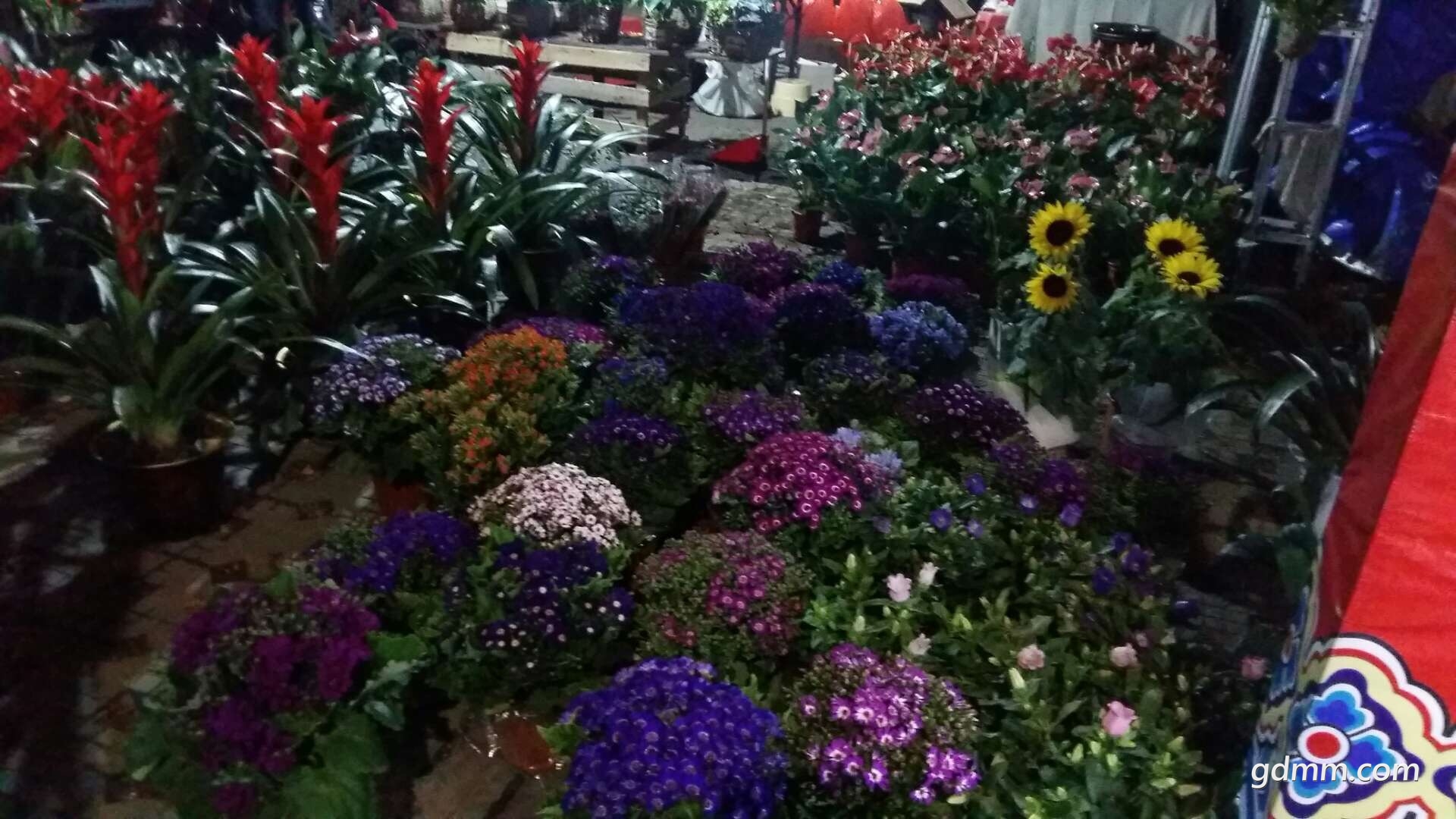 ΢��ͼƬ_20180131215658.jpg