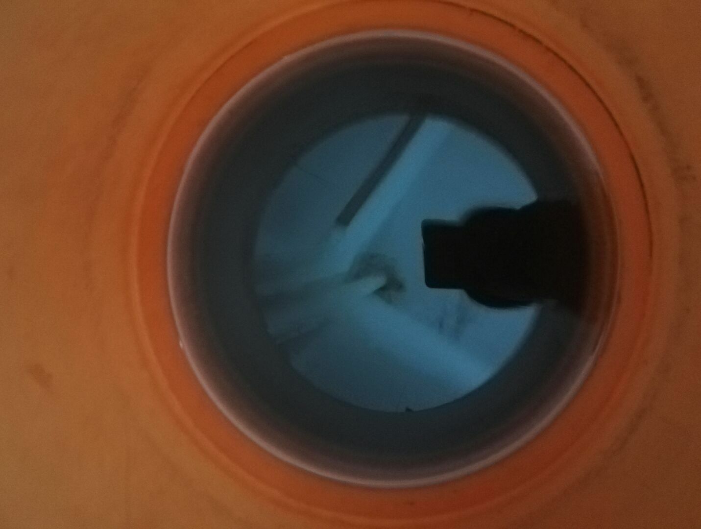 1517726207853_.jpg