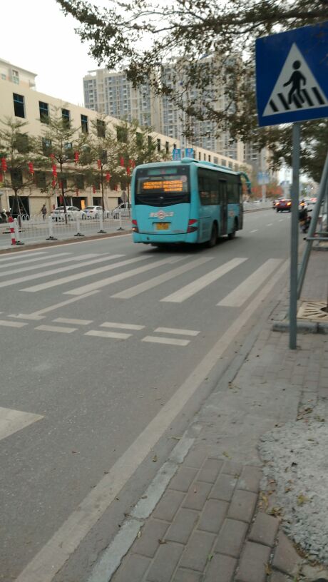 1518083762546_.jpg