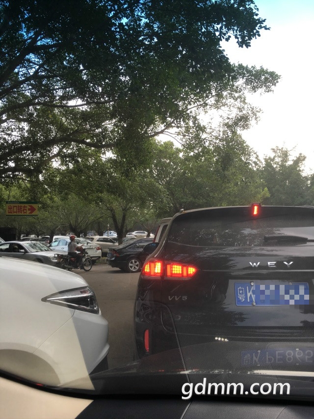 161322usdws8lrdfssqrbw_meitu_1.jpg
