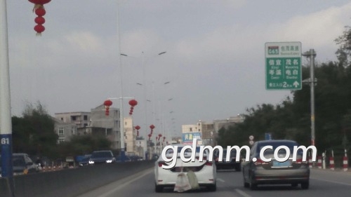 mmexport1518998950737.jpg