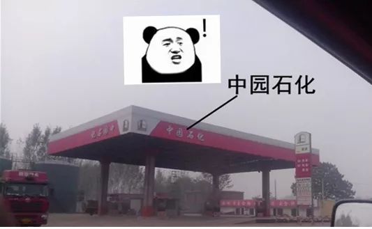 1519735818769_.jpg