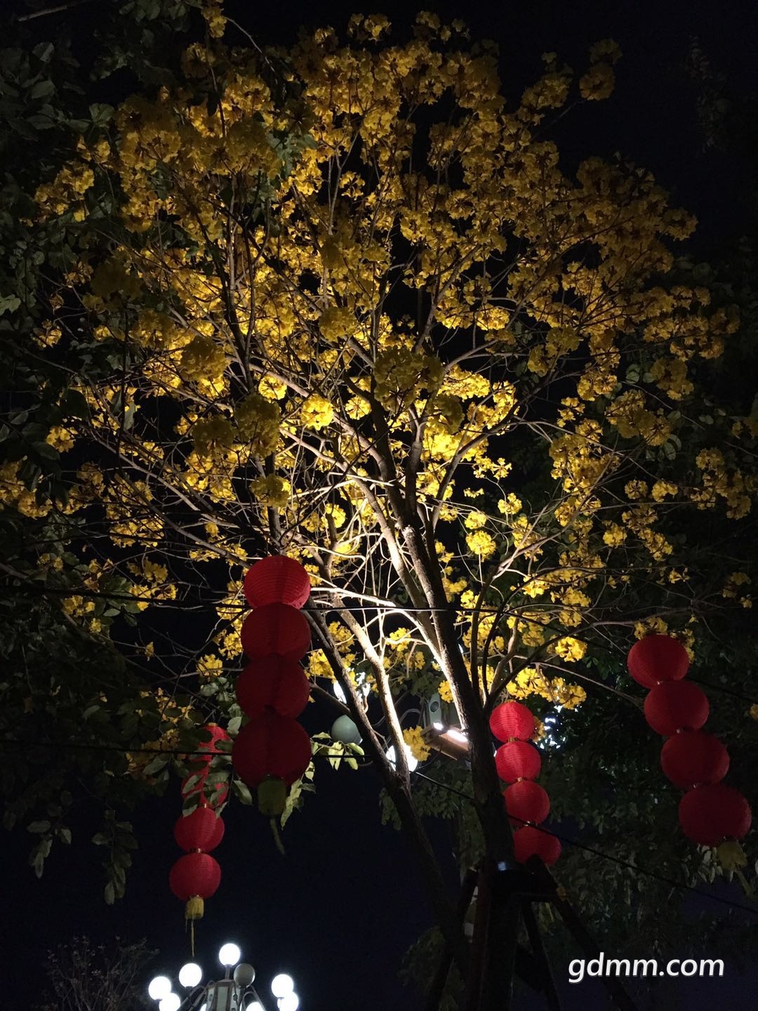 ΢��ͼƬ_20180301164259.jpg