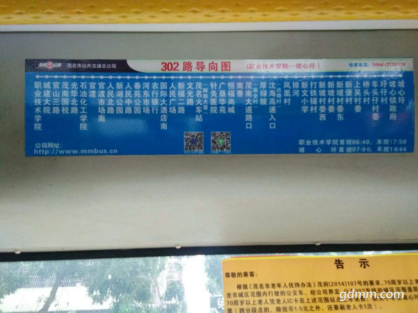 302.jpg
