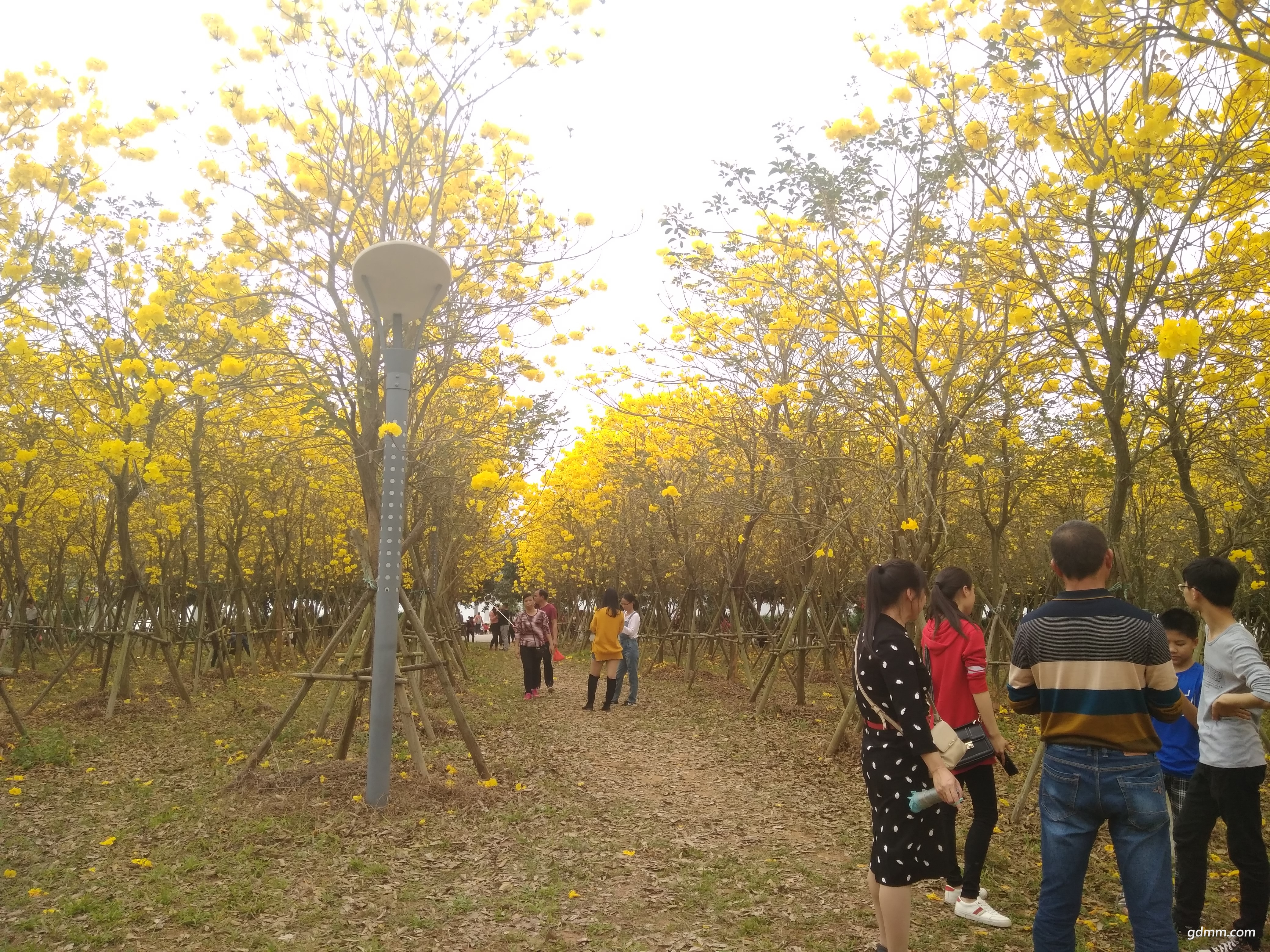 IMG_20180304_121556.jpg