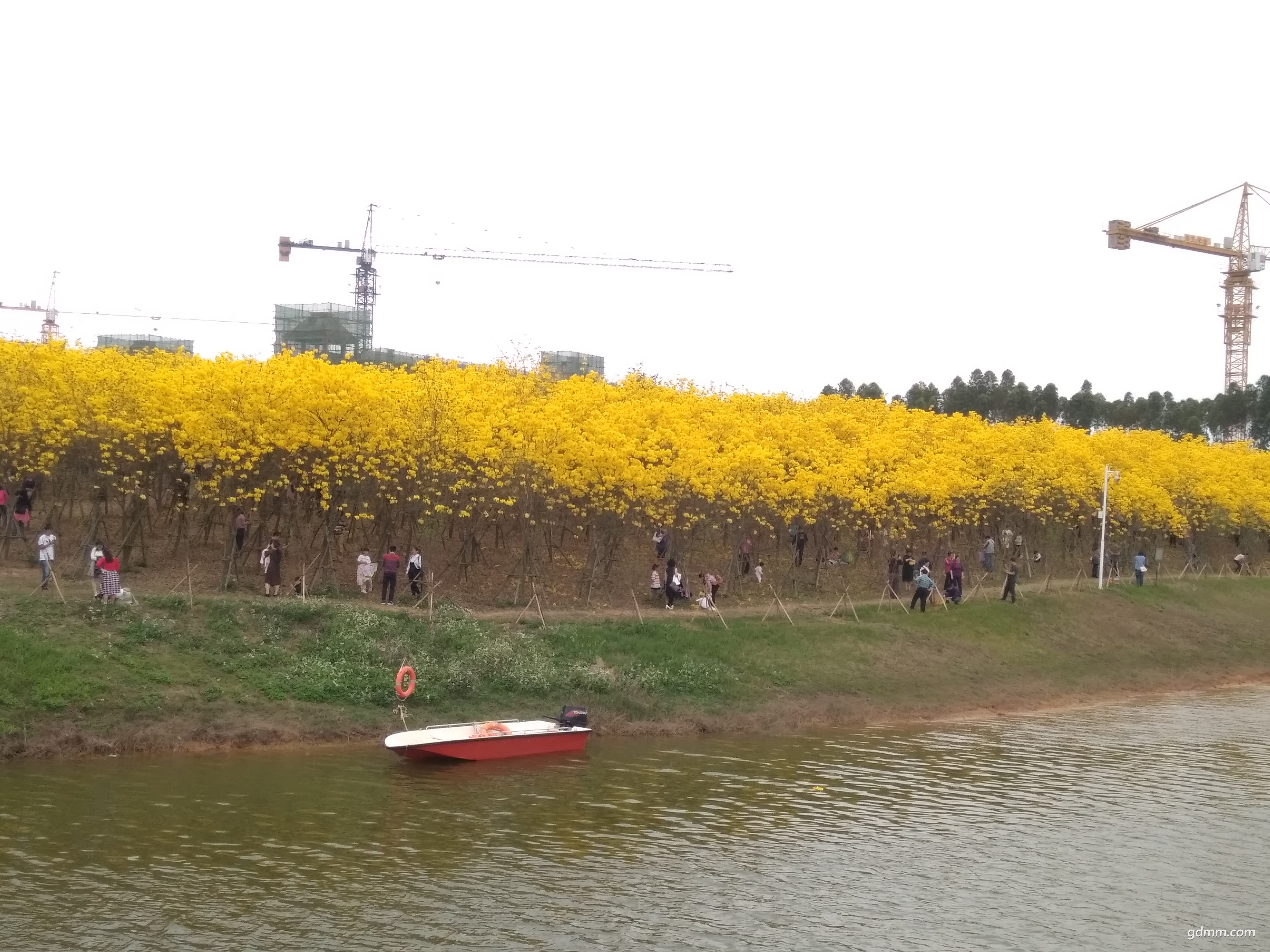 IMG_20180304_120035.jpg