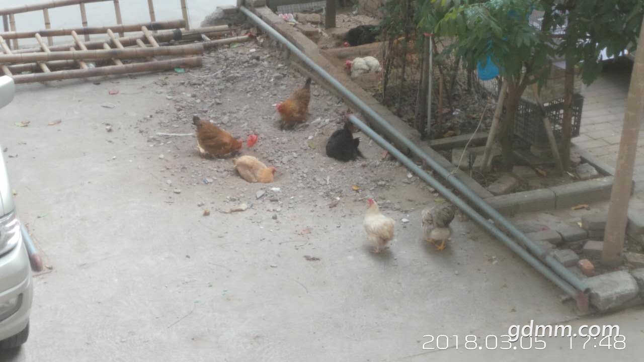 ΢��ͼƬ_20180305185957.jpg