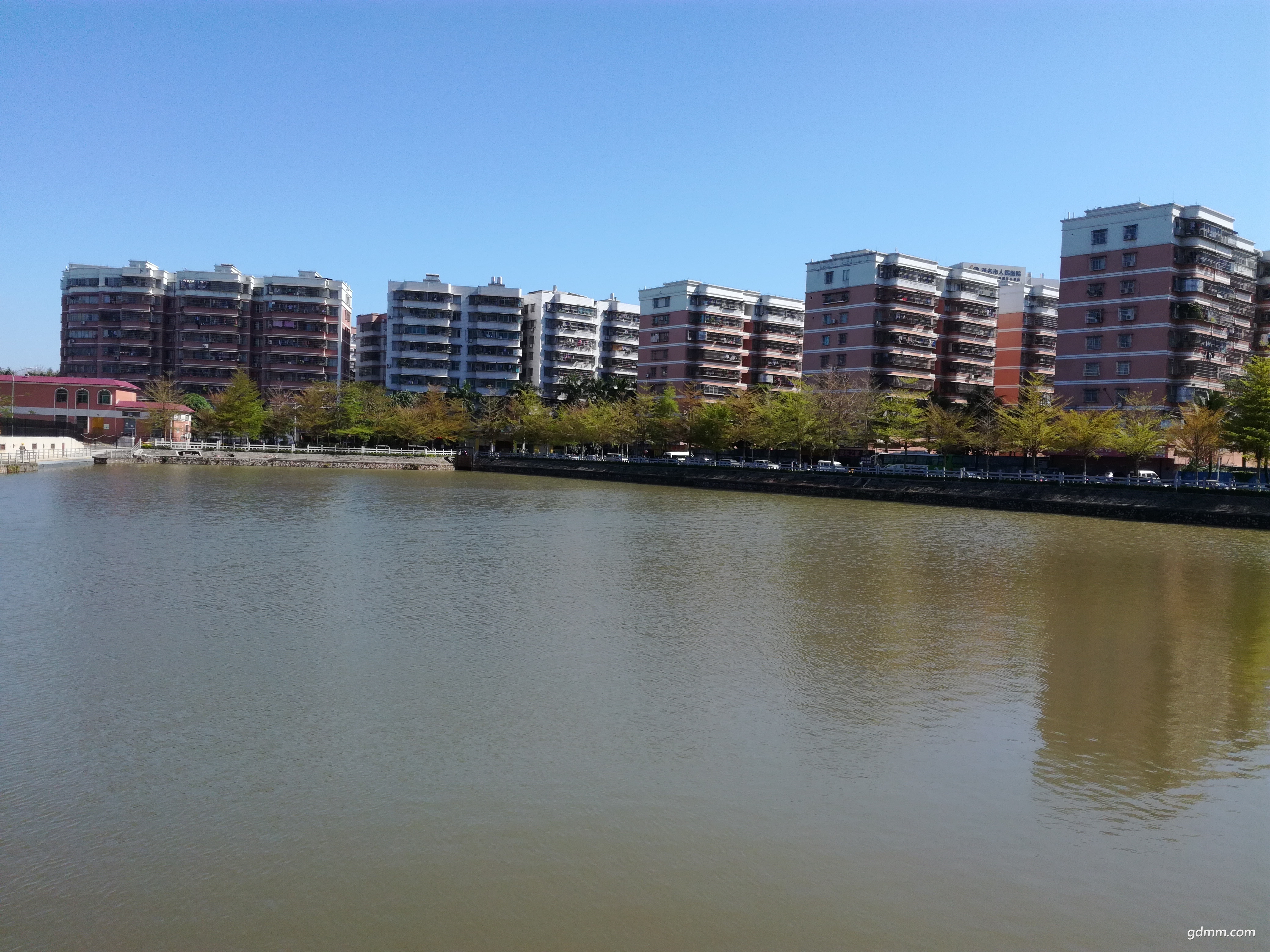 IMG_20180309_103258.jpg