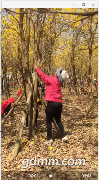 QQ��ͼ20180311112111-01.png