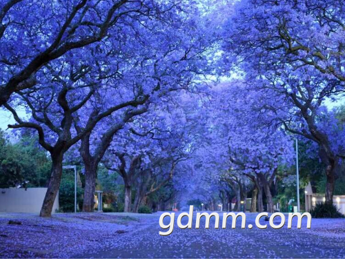 IMG_7803.PNG