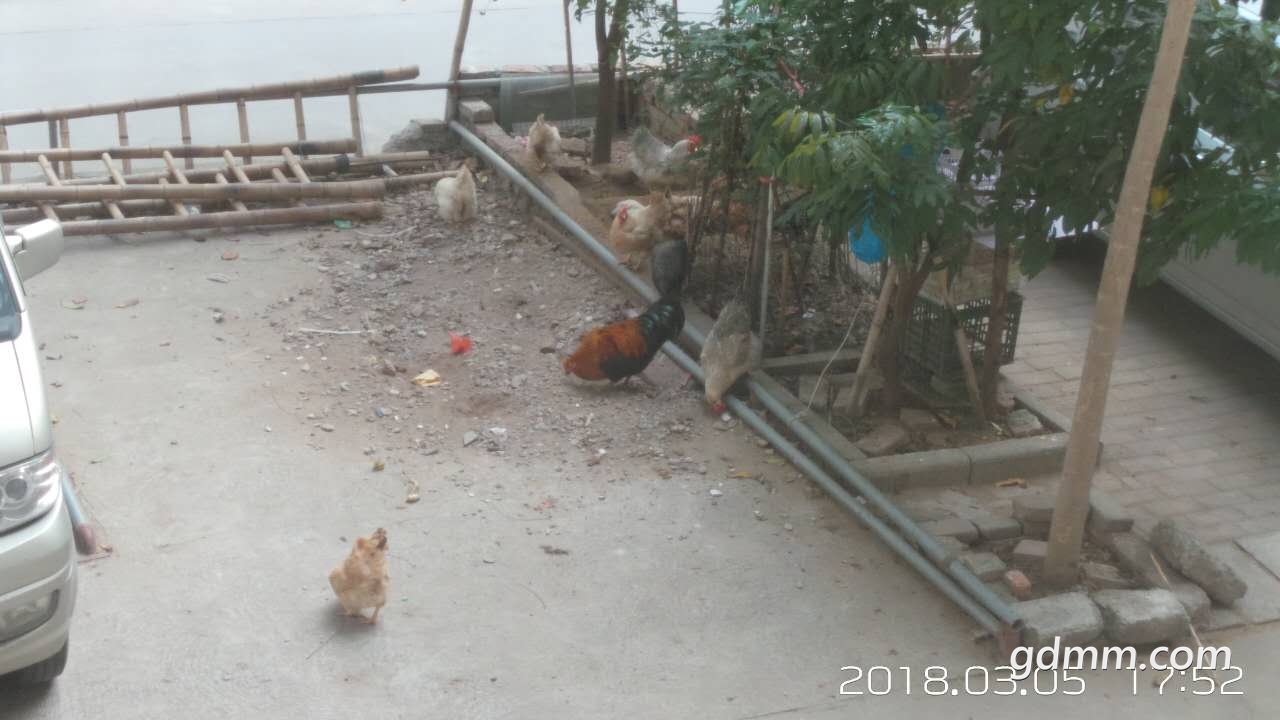 ΢��ͼƬ_20180305190006.jpg