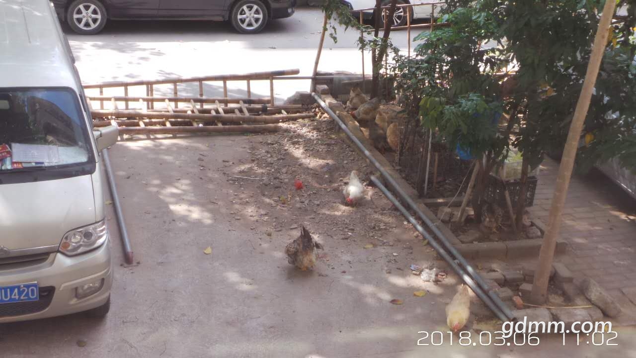 ΢��ͼƬ_20180306110619.jpg