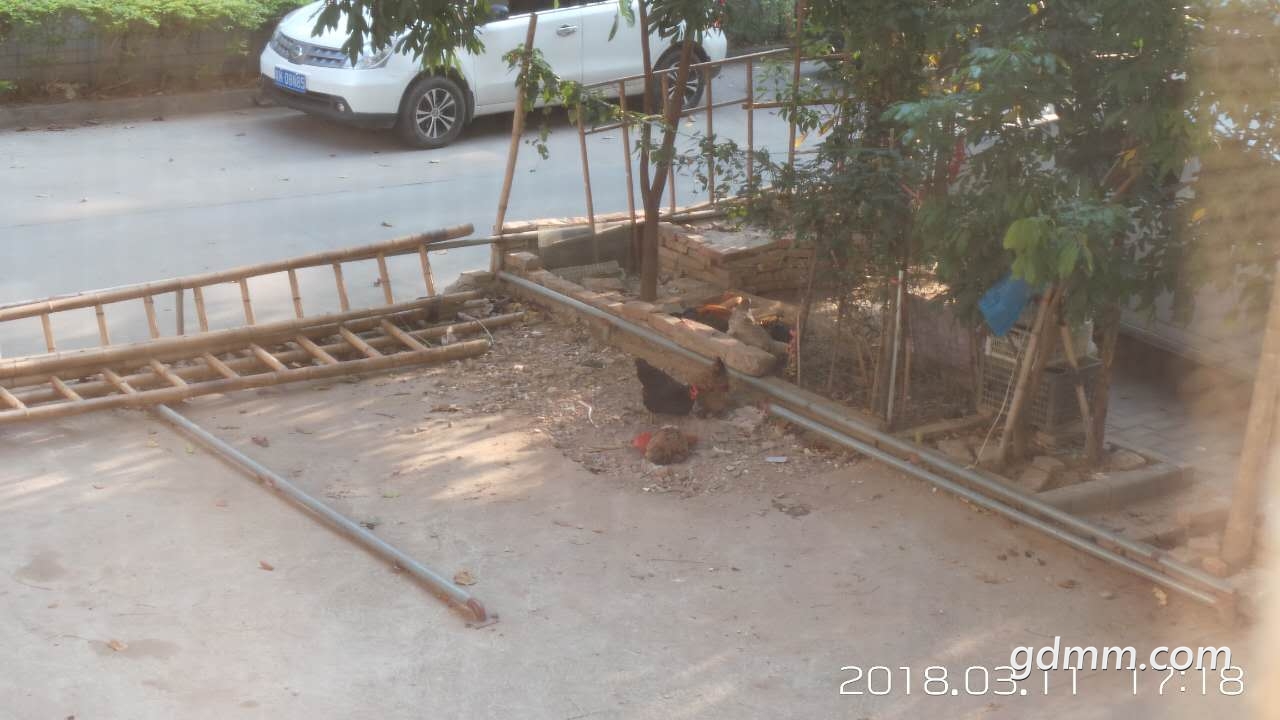 ΢��ͼƬ_20180311172215.jpg
