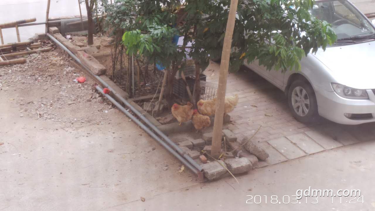 ΢��ͼƬ_20180313154832.jpg