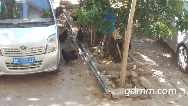 163129ie3tvme1jdf3peai_����.jpg