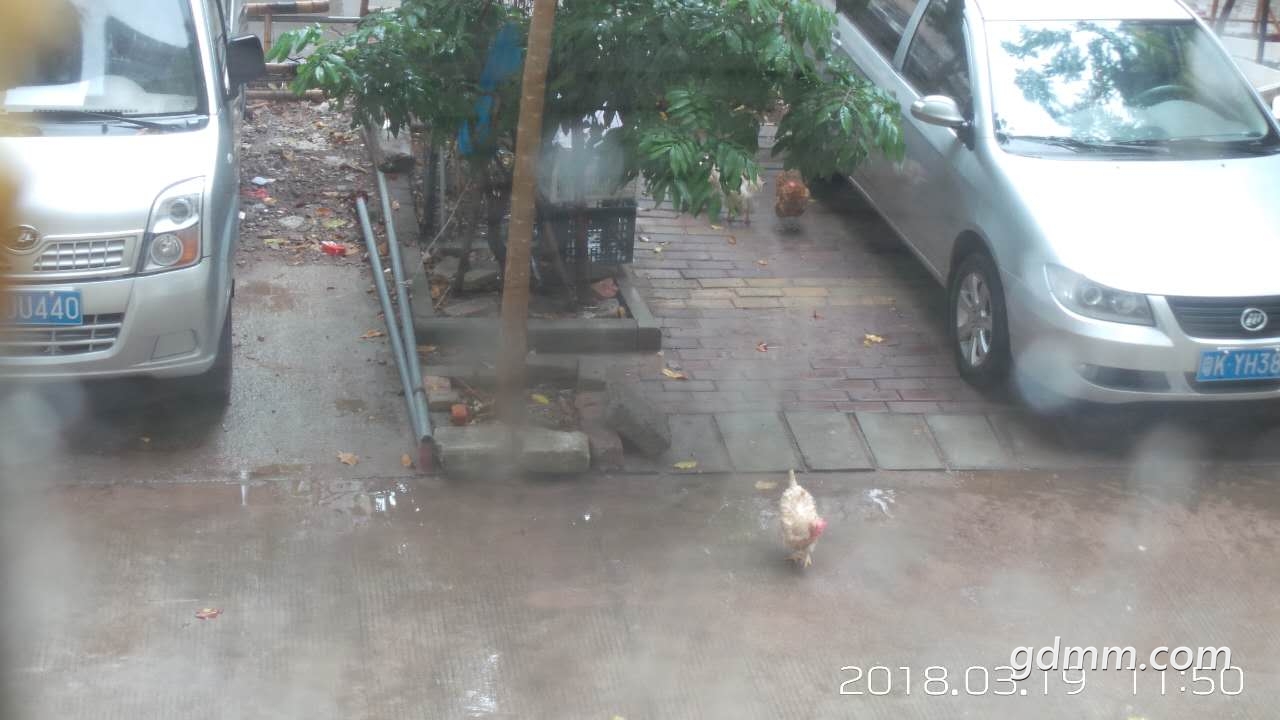 ΢��ͼƬ_20180319115148.jpg
