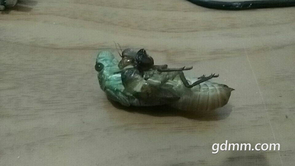 QQͼƬ20180325220127.jpg