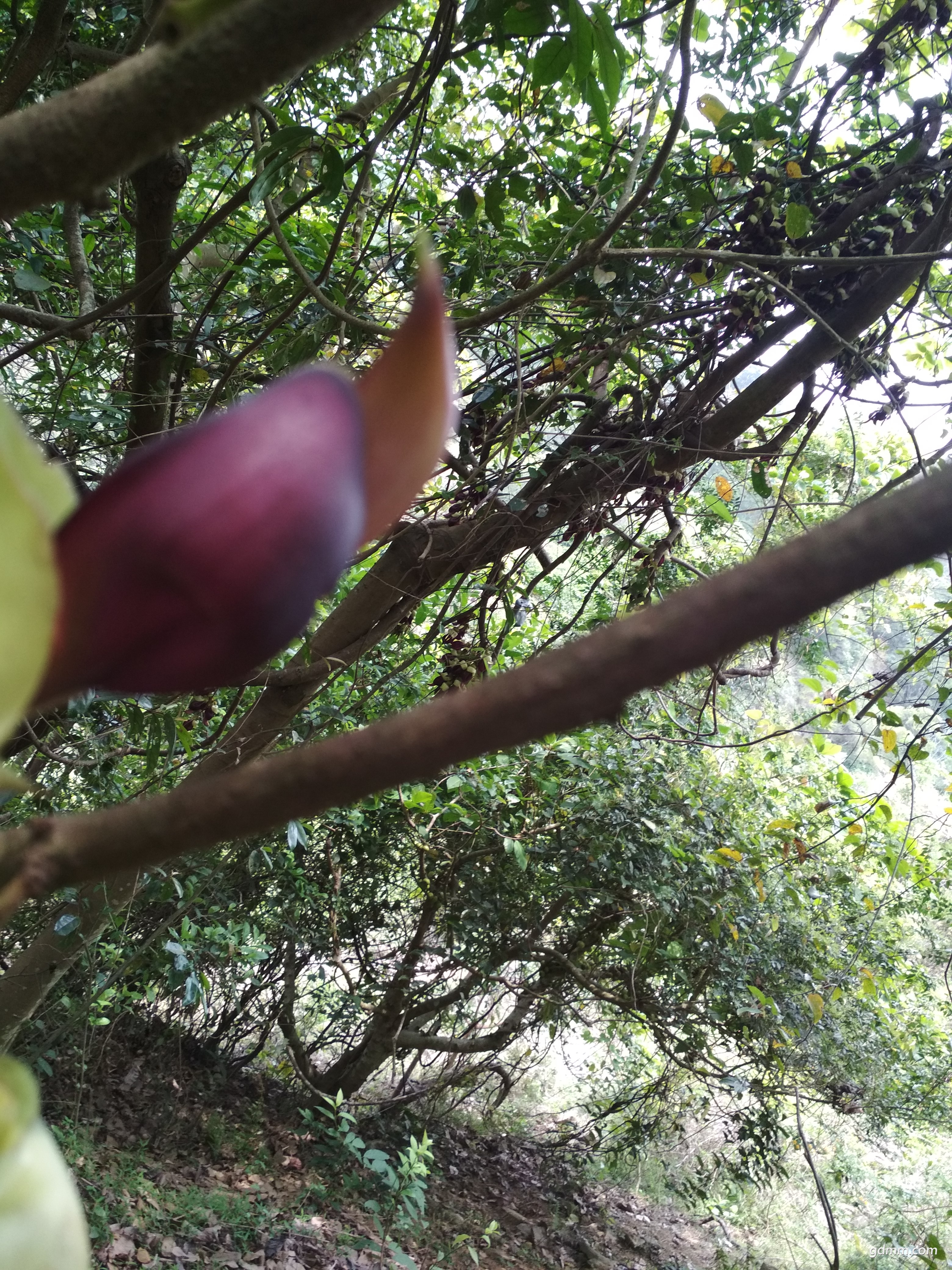 ΢��ͼƬ_20180326184144.jpg