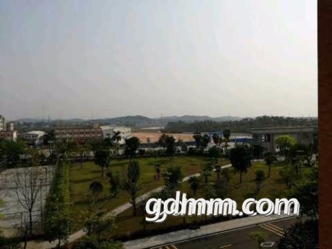 20180327223202-forum.jpg