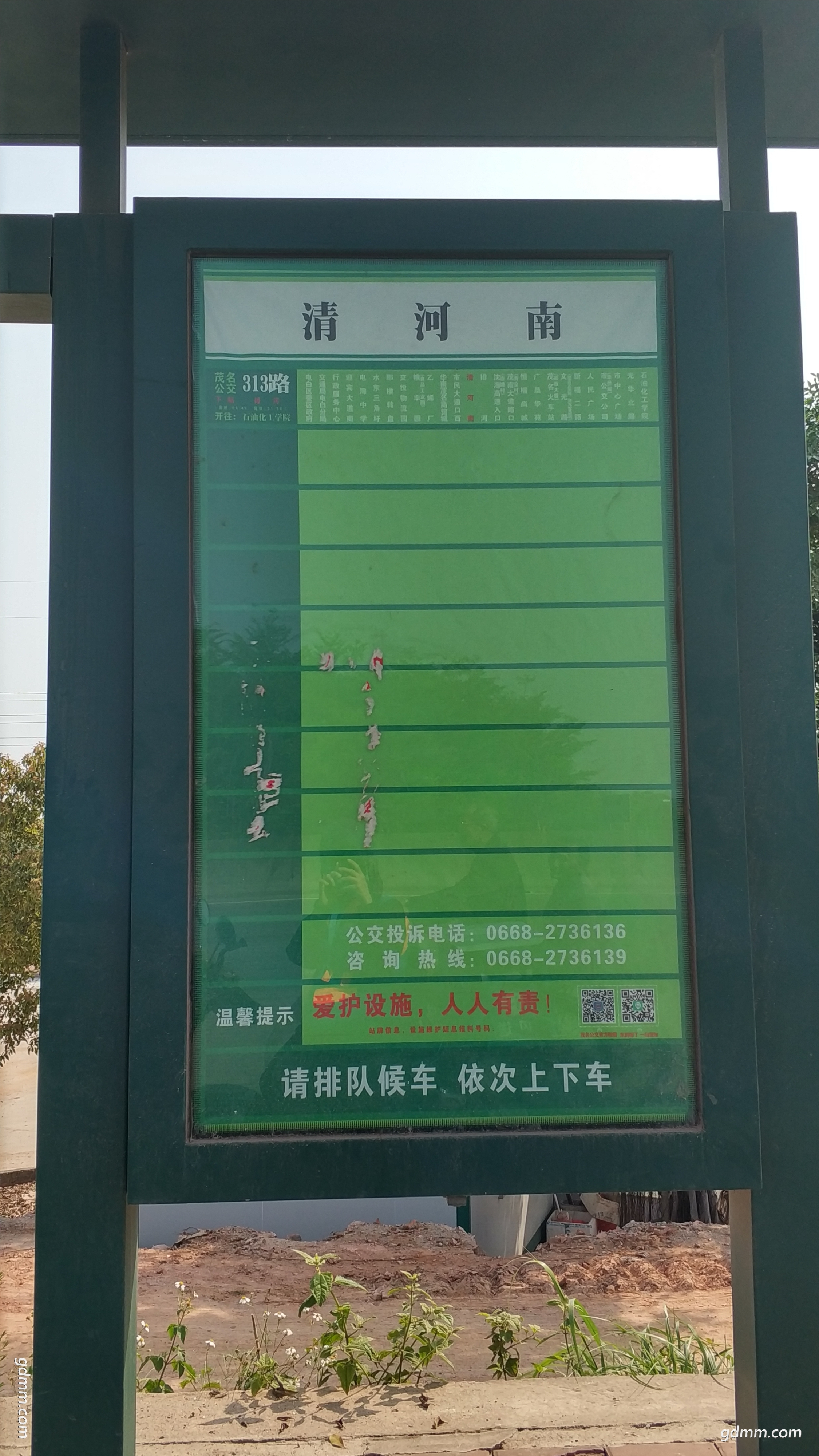 130942xdd99f59551yw5gf.jpg